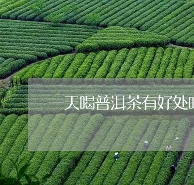 一天喝普洱茶有好处吗/2023092695836