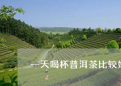 一天喝杯普洱茶比较好/2023072195938