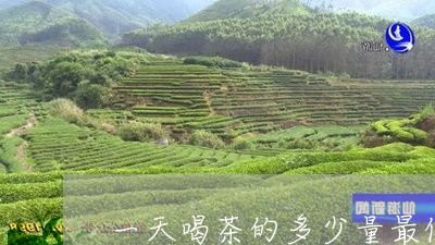 一天喝茶的多少量最佳/2023060849371