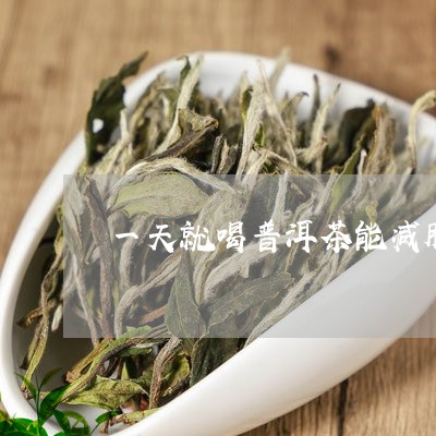 一天就喝普洱茶能减肥/2023092741593