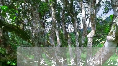 一天当中适合喝什么茶/2023071320603