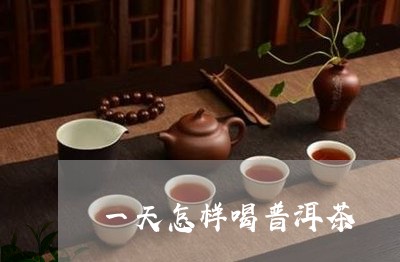 一天怎样喝普洱茶/2023112687161