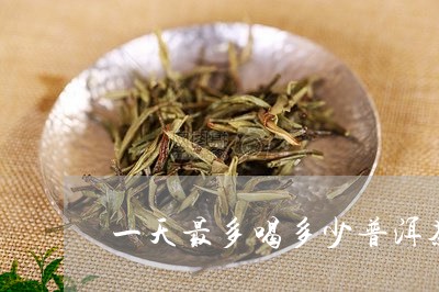 一天最多喝多少普洱茶/2023062189379