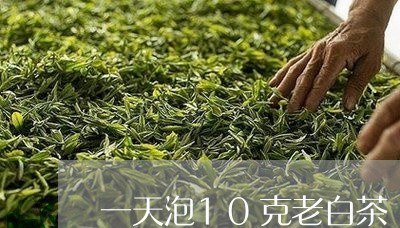 一天泡10克老白茶/2023121522603