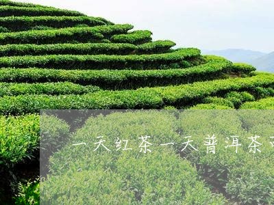 一天红茶一天普洱茶可以吗/2023051113026