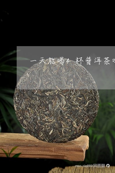 一天能喝4杯普洱茶吗/2023061503737