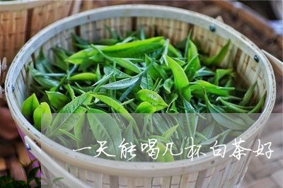 一天能喝几杯白茶好/2023121521716