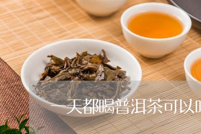 一天都喝普洱茶可以吗/2023061427271