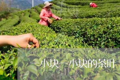 一小块一小块的茶叶/2023042561684