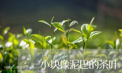 一小块像泥巴的茶叶/2023042521483