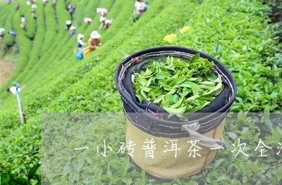 一小砖普洱茶一次全泡/2023061404715