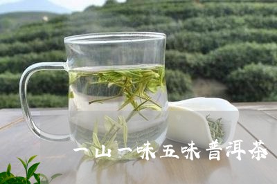 一山一味五味普洱茶/2023101756594