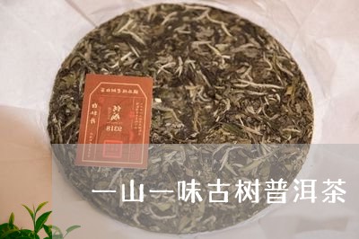 一山一味古树普洱茶/2023120422615