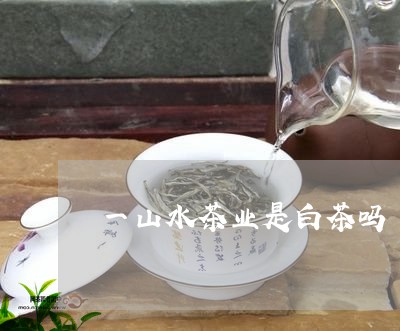 一山水茶业是白茶吗/2023071475037