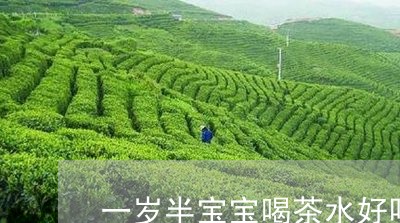 一岁半宝宝喝茶水好吗/2023071562794