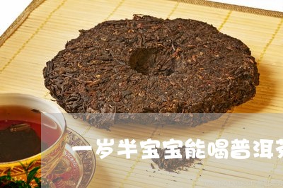 一岁半宝宝能喝普洱茶/2023092623927