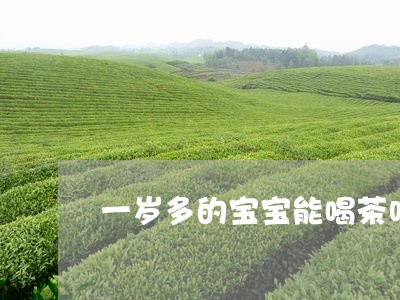 一岁多的宝宝能喝茶吗/2023071514859