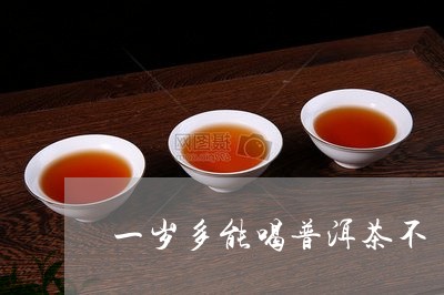 一岁多能喝普洱茶不/2023082820514