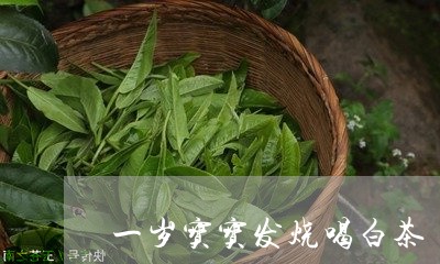 一岁宝宝发烧喝白茶/2023071456362