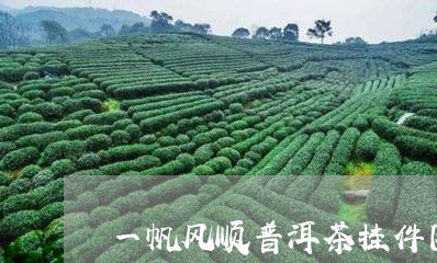 一帆风顺普洱茶挂件图/2023062835949