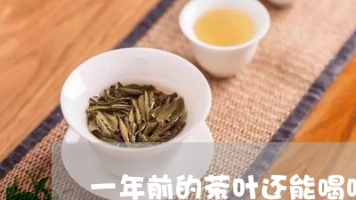 一年前的茶叶还能喝吗/2023092399370