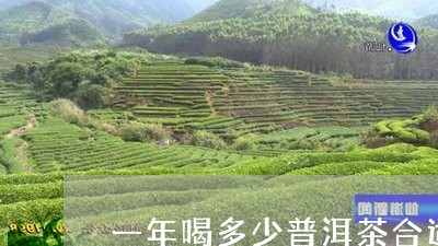 一年喝多少普洱茶合适/2023092916292