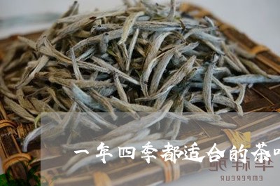 一年四季都适合的茶叶/2023092359254