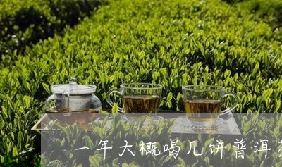 一年大概喝几饼普洱茶/2023092513846