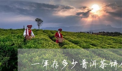 一年存多少普洱茶饼合适/2023112700735