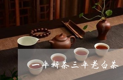 一年新茶三年老白茶/2023071414825