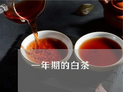 一年期的白茶/2023051228391