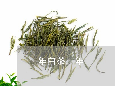 一年白茶三年/2023051280715