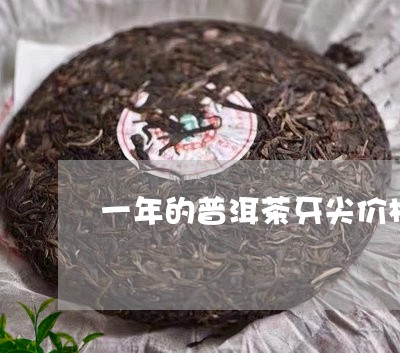 一年的普洱茶牙尖价格/2023072488364