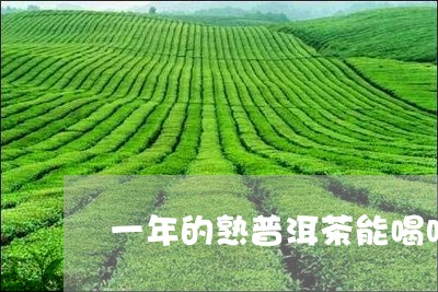 一年的熟普洱茶能喝吗/2023092682126