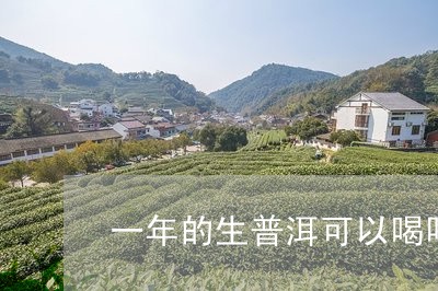 一年的生普洱可以喝吗/2023061349583