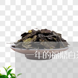 一年的福鼎白茶是清茶吗/2023092250825