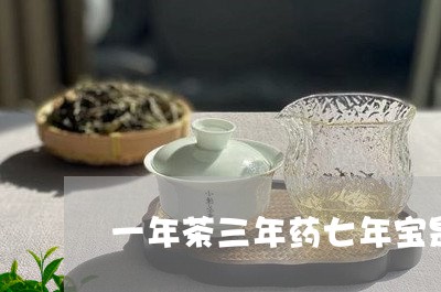 一年茶三年药七年宝是哪种茶/2023052699694