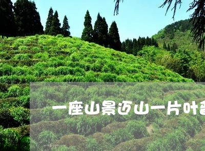 一座山景迈山一片叶普洱茶/2023051183937