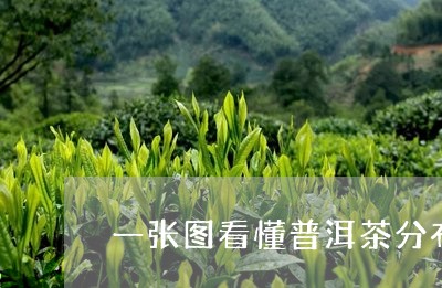 一张图看懂普洱茶分布/2023092761713