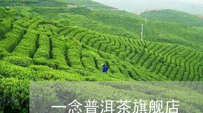 一念普洱茶旗舰店/2023101638574