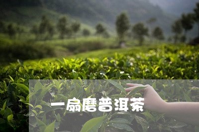 一扇磨普洱茶/2023042960705