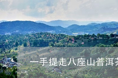 一手提走八座山普洱茶价格/2023051065168