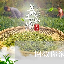 一招教你泡好普洱茶/2023120555160