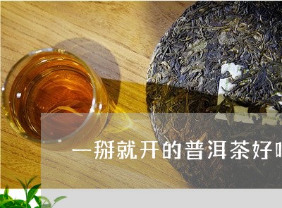 一掰就开的普洱茶好吗/2023072276947