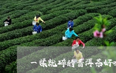 一揉就碎的普洱茶好吗怎么泡/2023110580401