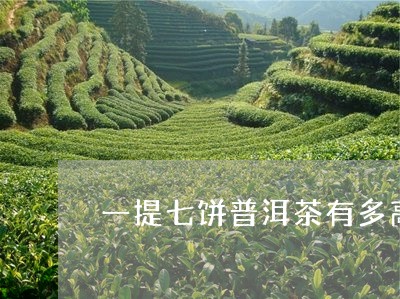 一提七饼普洱茶有多高/2023061431604