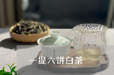 一提六饼白茶/2023051230789