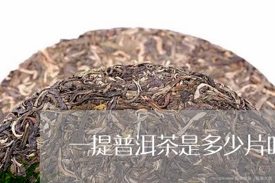 一提普洱茶是多少片叶子/2023103111935