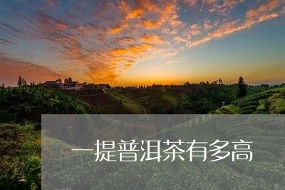 一提普洱茶有多高/2023112512938