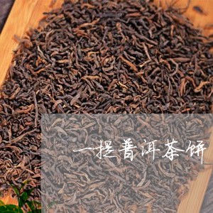 一提普洱茶饼/2023090619602